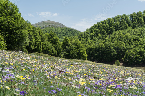 Fotografie Parco Nazionale d'Abruzzo