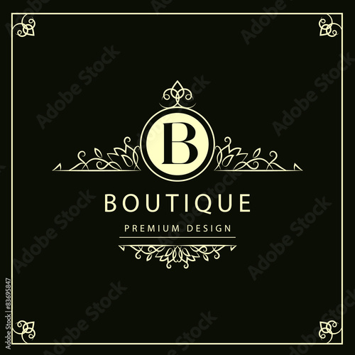 Monogram design elements, graceful template. 