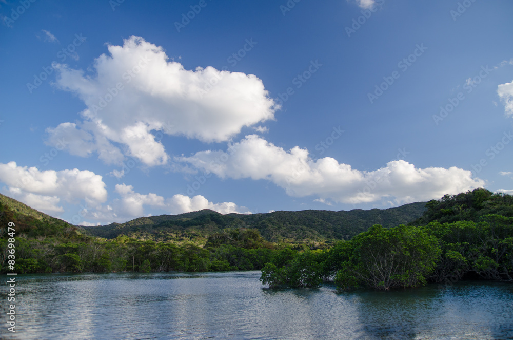 沖縄県 石垣島 吹通川 沖縄県 石垣島 吹通川