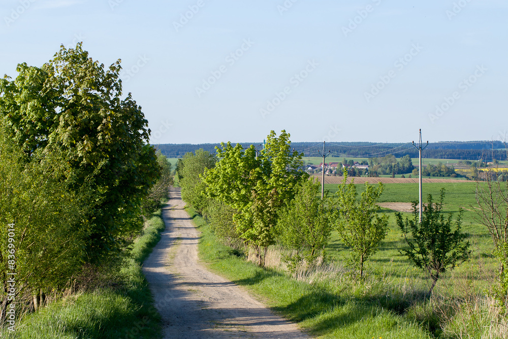 Naklejka premium rural road on Beautiful spring rural landscape