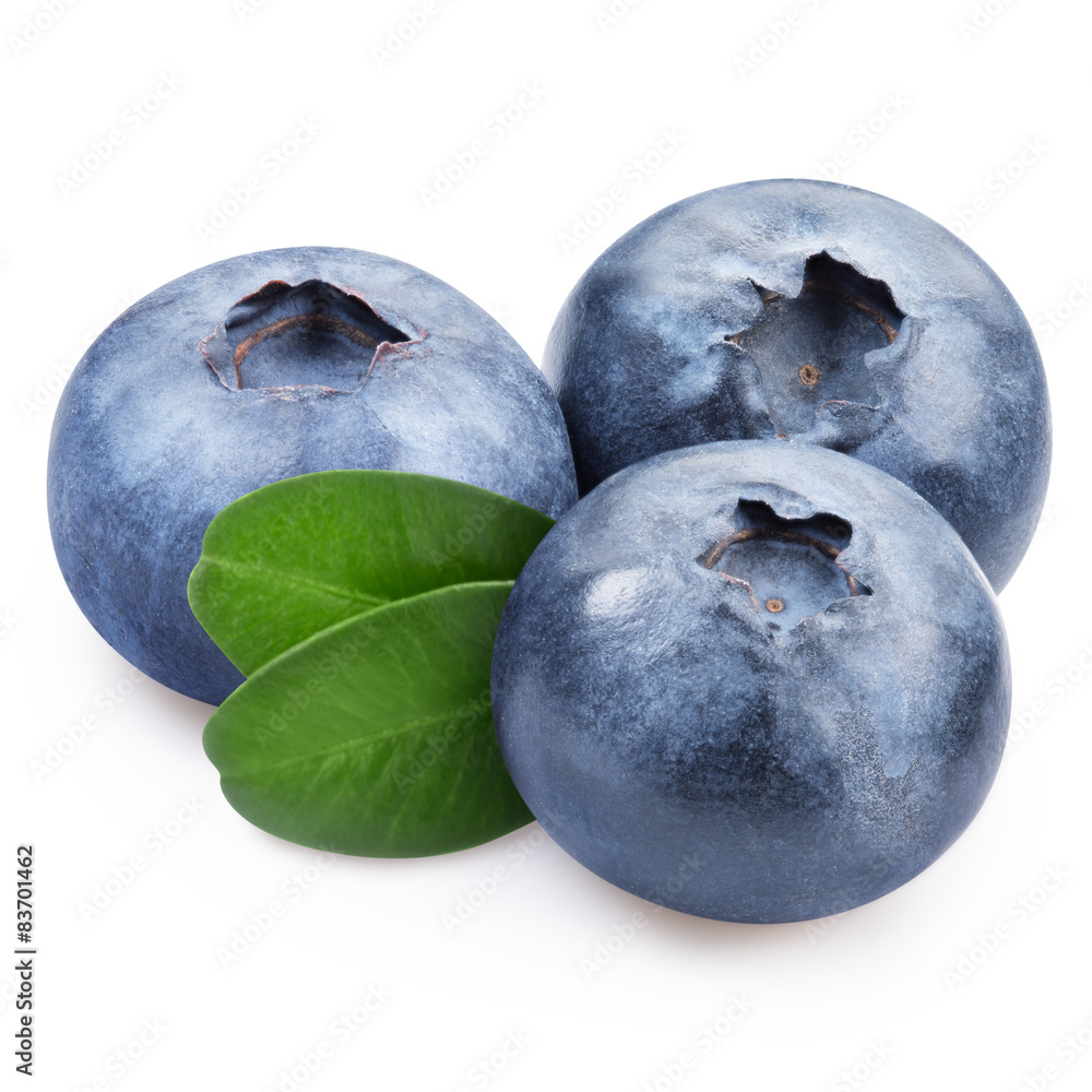 Obraz premium Blueberries