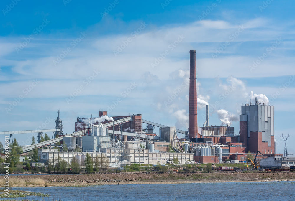 Pulp mill Pulp mill