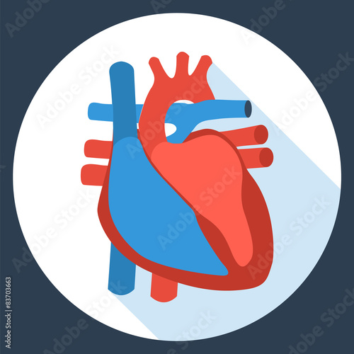 Flat design icon of anatomy of human heart. 
