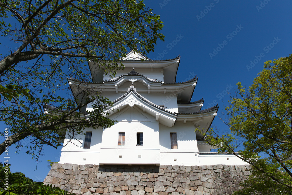 The original Ninja castle of Iga Ueno