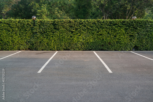 Empty parking lot with foliage wall in the background © oppdowngalon