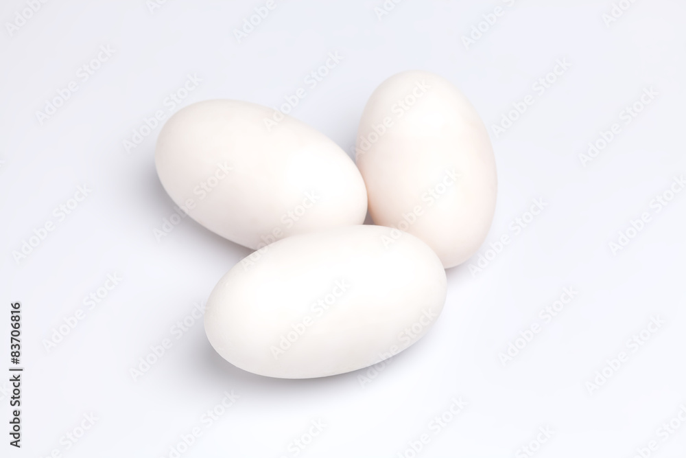 crocodile alligator eggs group white background crocodile alligator eggs group white background