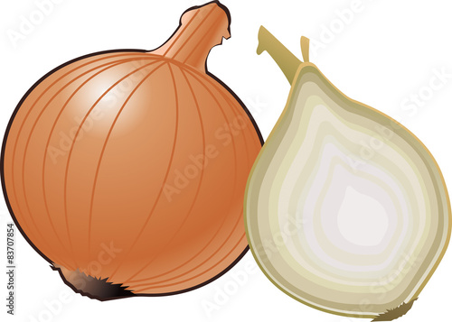 Zwiebel