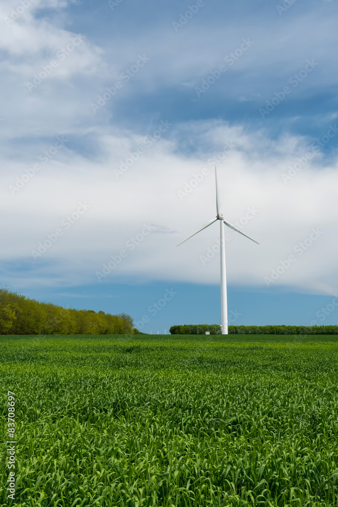 Green field of wheat and wind turbines generating electricity Green field of wheat and wind turbines generating electricity