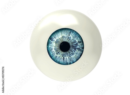 one eyeball isolated on white