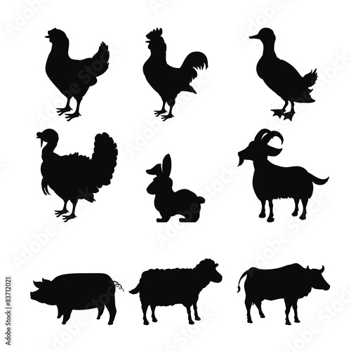 Farm animal design.