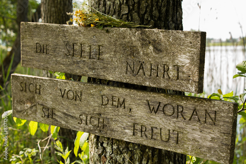 Seele