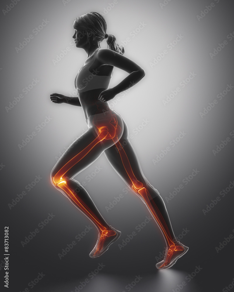 Jogging woman legs anatomy