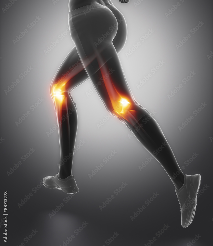 Focused on knee and meniscus in sports injuries Focused on knee and meniscus in sports injuries