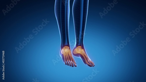 ANKLE joint skeleton x-ray scan in blue photo