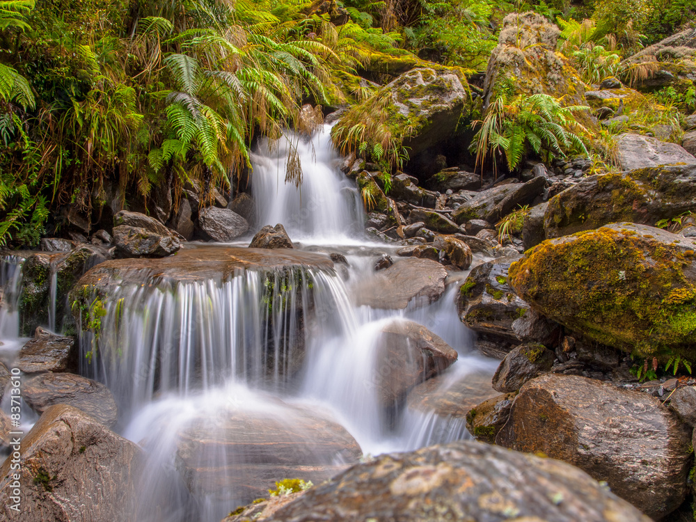 rainforest waterfall