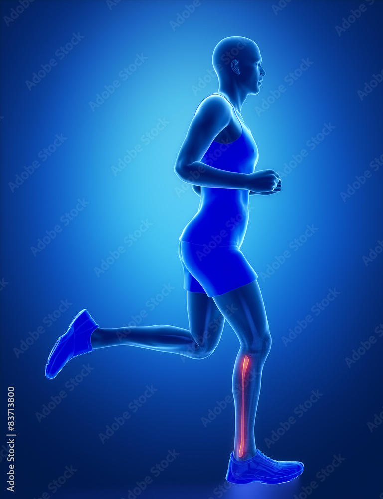 FIBULA - running man leg scan in blue FIBULA - running man leg scan in blue