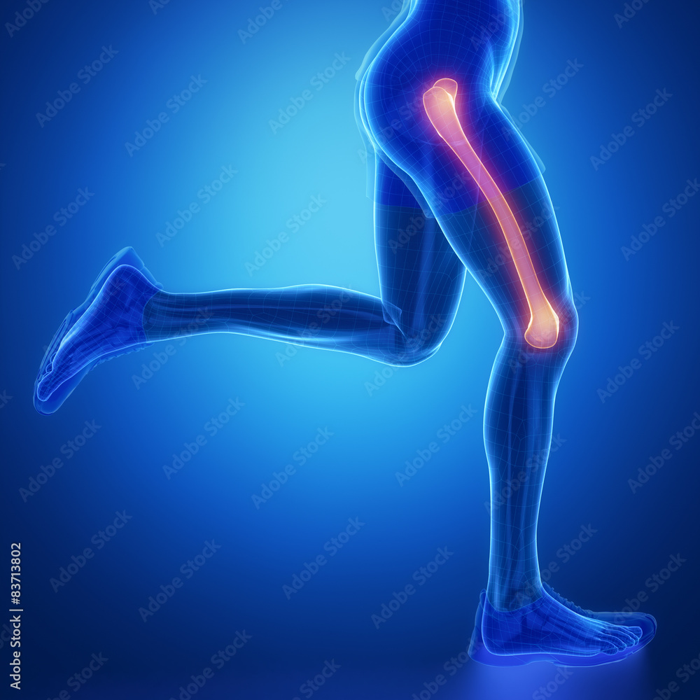 FEMUR - running man leg scan in blue FEMUR - running man leg scan in blue