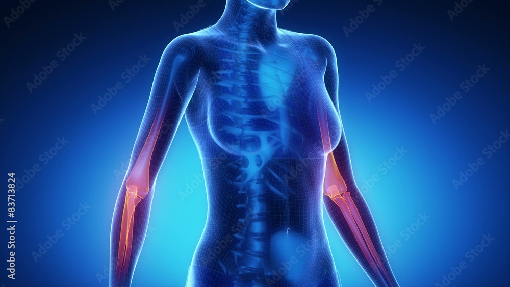 ELBOW joint skeleton x-ray scan in blue ELBOW joint skeleton x-ray scan in blue