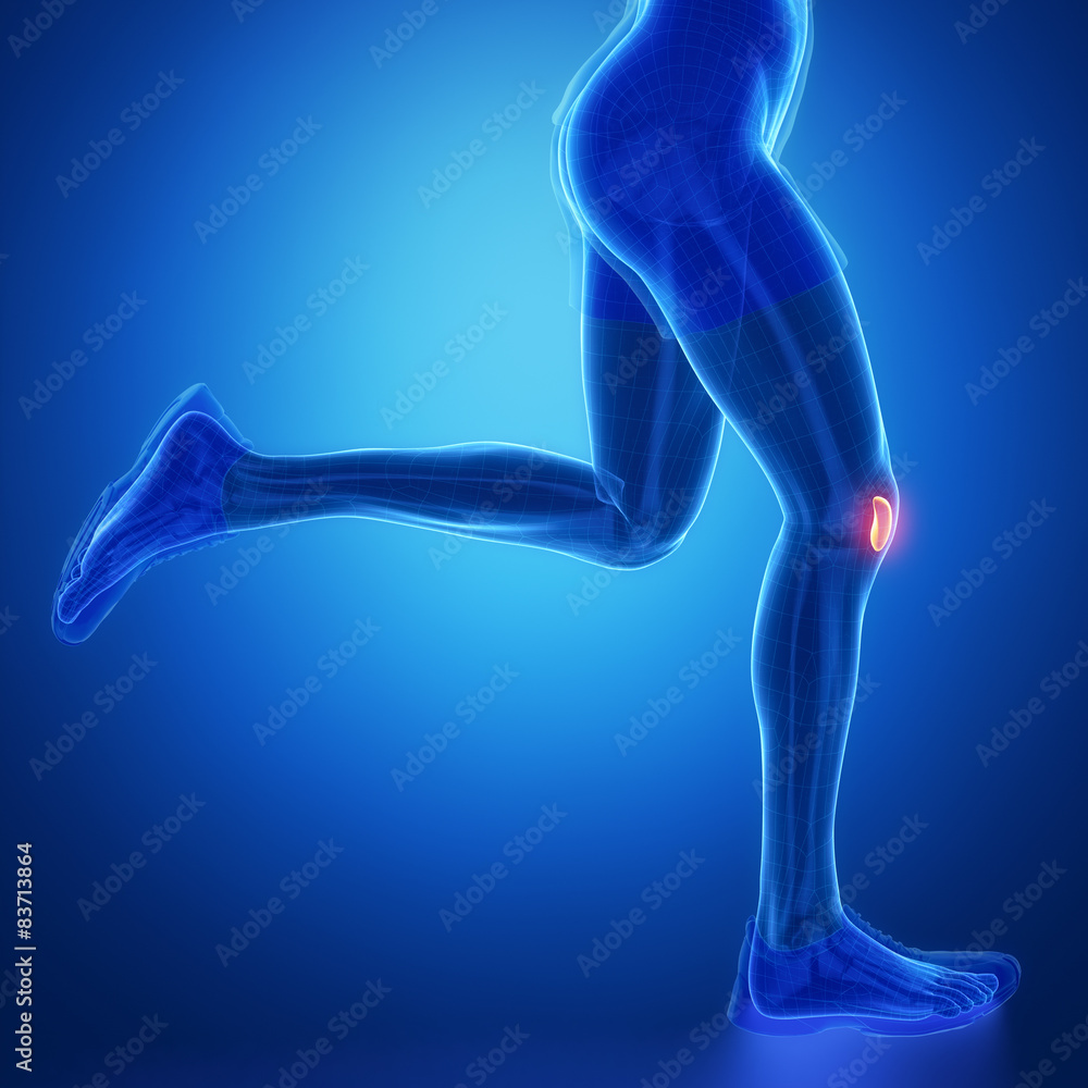 PATELLA - running man leg scan in blue PATELLA - running man leg scan in blue