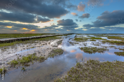 Reclaimed Land at waddensea photo