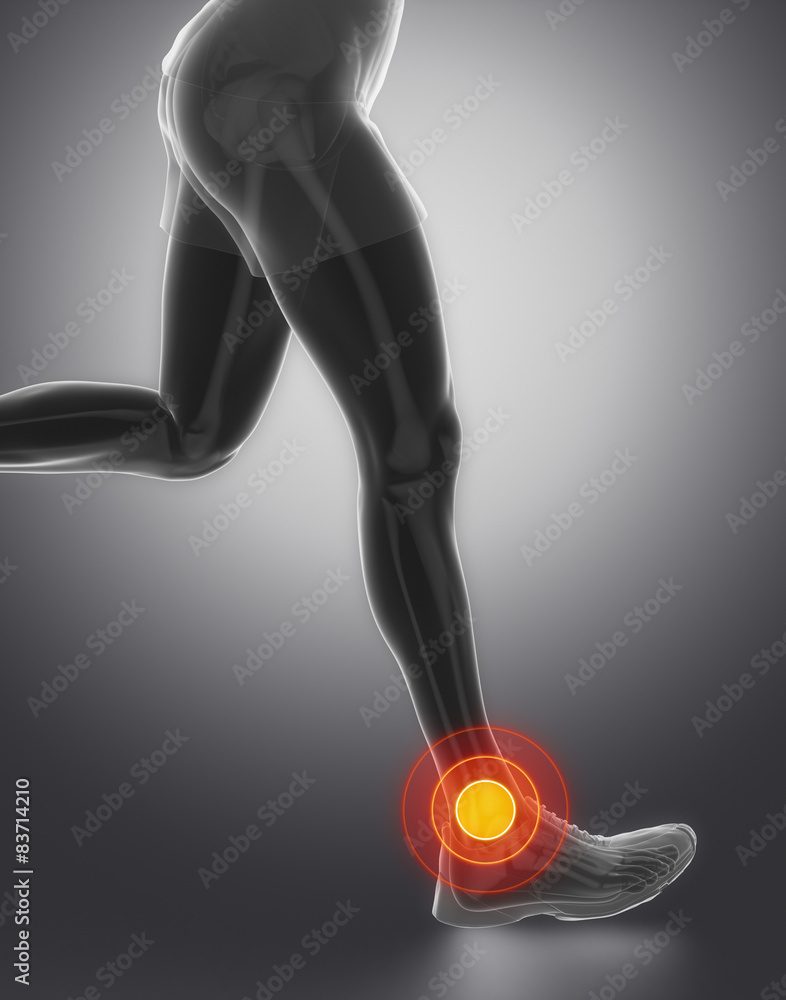 Focused on ankle joint Focused on ankle joint