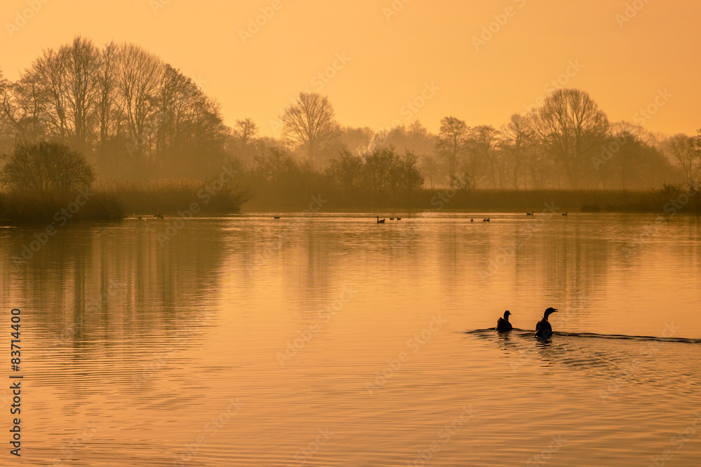 Reflecting orange morning sun in lake with birds