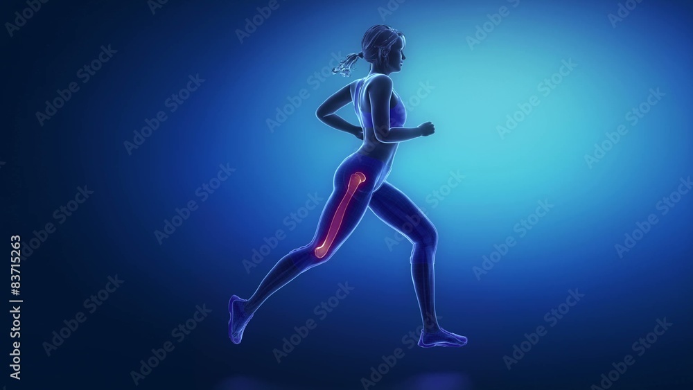 Runner fibula animation Runner fibula animation