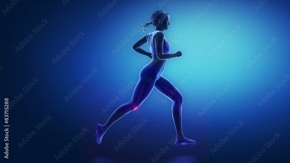 Runner pelvis animation Runner pelvis animation