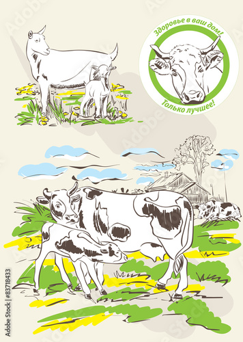 Козы, Коровы, Goats, cows