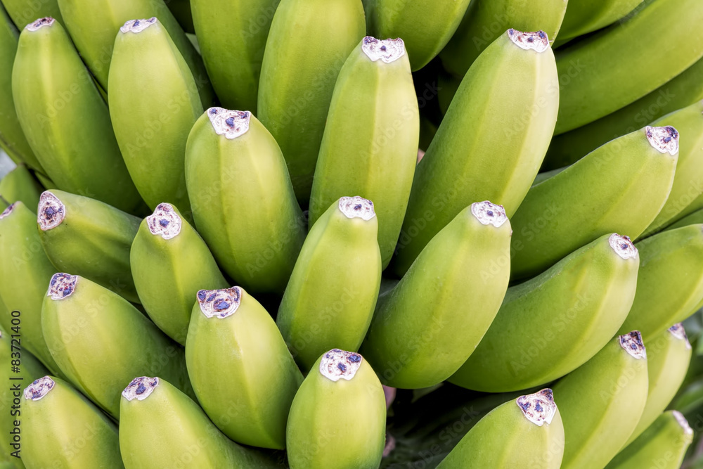 Unreife Bananen als Hintergrund Unreife Bananen als Hintergrund
