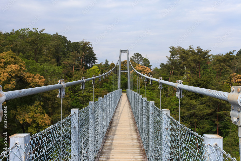 Suspension bridge over nature scene
