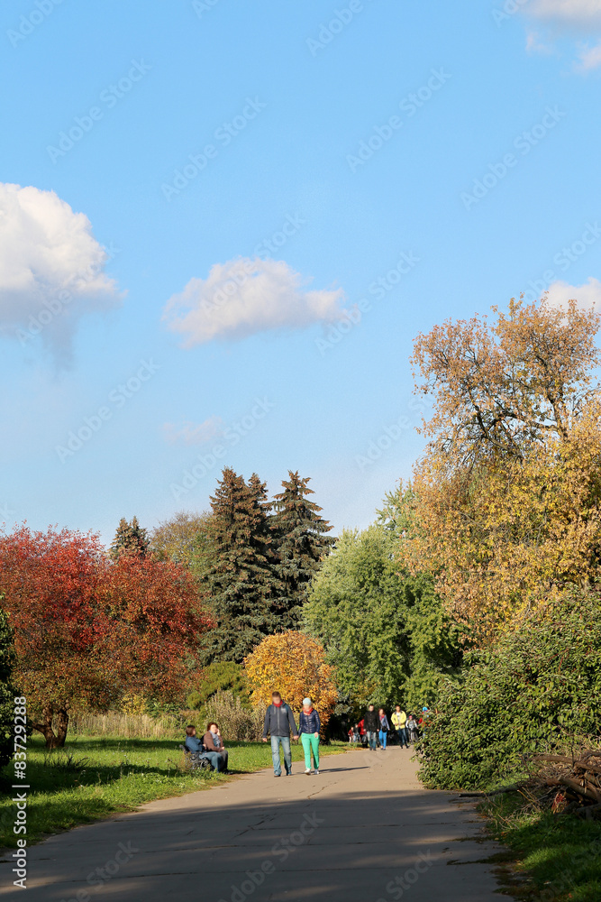 Naklejka premium autumn trees
