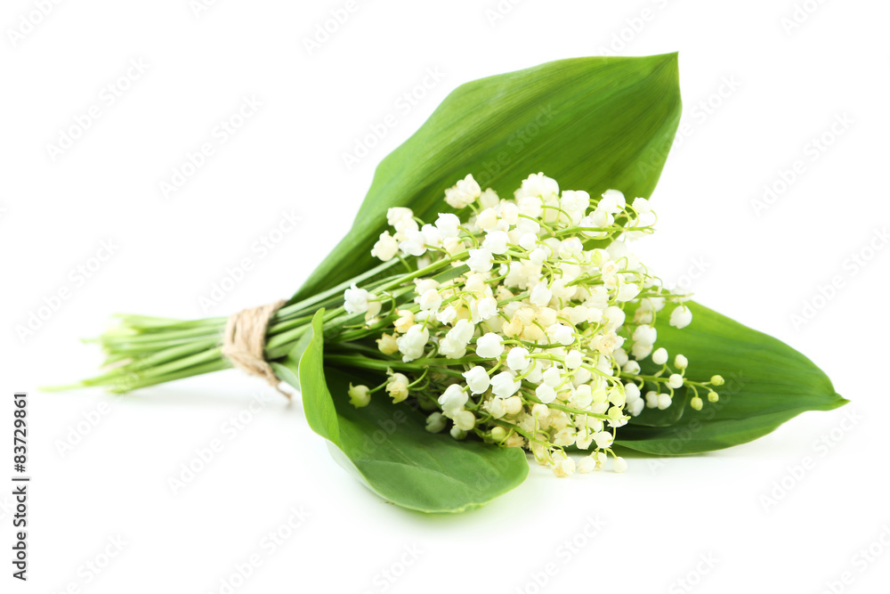 Obraz premium Lily of the Valley with leaves on a white background