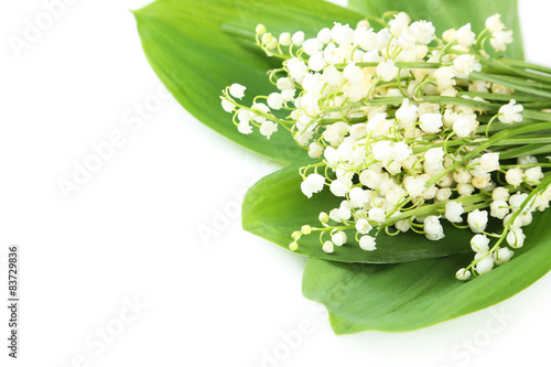 Lily of the Valley with leaves on a white background