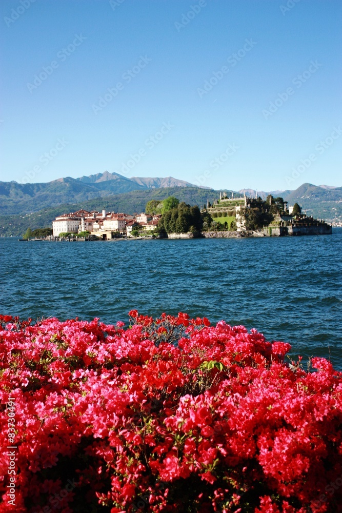 Isola Bella under blue sky - Stresa Waterfront blooming 