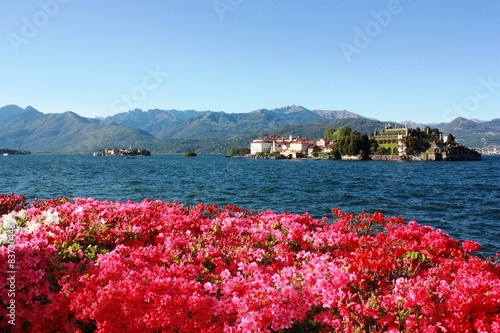 Fotografie Isola Bella, Isola Pescatori - Stresa Waterfront blooming