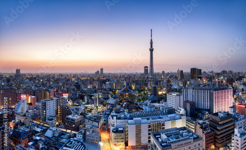 Tokyo Skyline mit Skytree