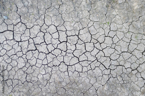 dry soil cracked earth texture, The Netherlands