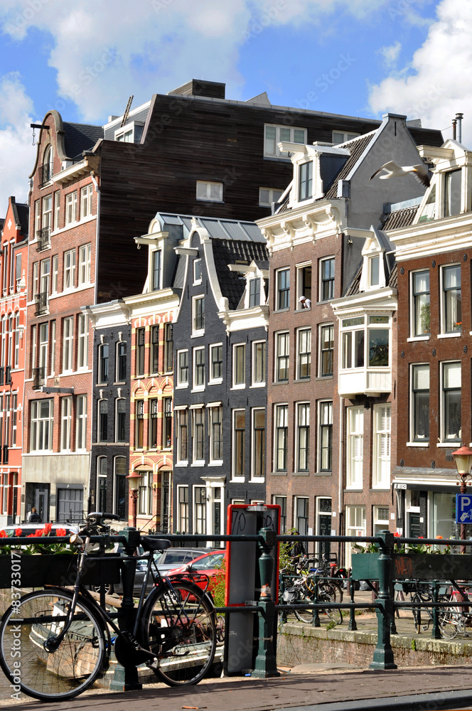 The canal houses of Amsterdam 