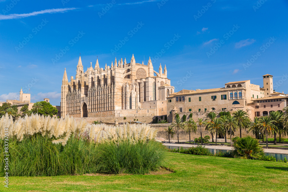 Majorca Palma Cathedral Seu Seo of Mallorca