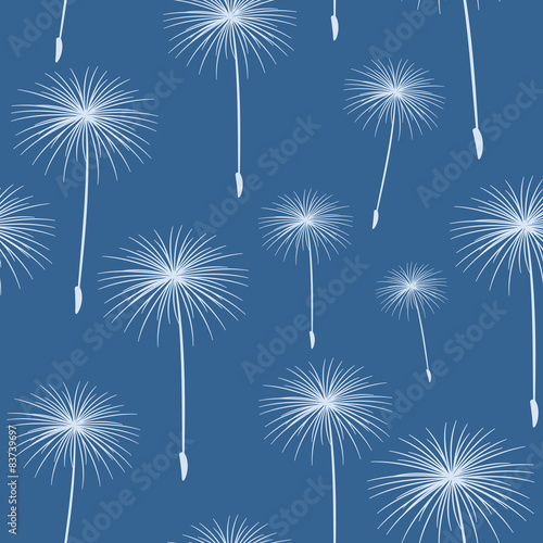 Fototapeta Naklejka Na Ścianę i Meble -  pattern seamless texture background fluffy dandelion White on bl