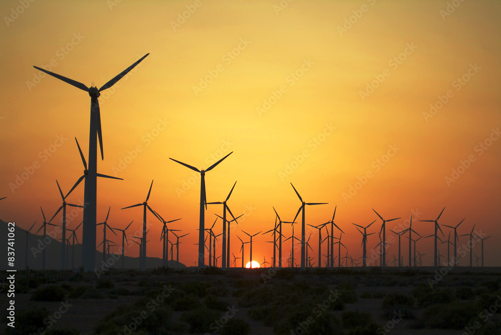 Sunset over the Wind Farm Sunset over the Wind Farm