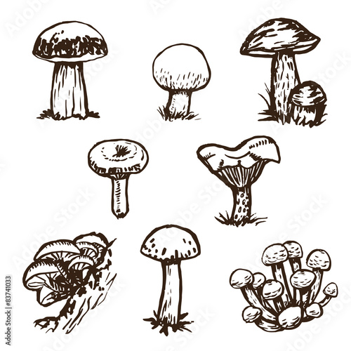 Hand drawn mushrooms sketch set.