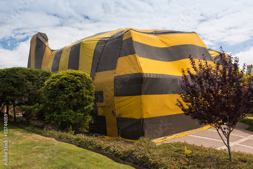 House is covered by tent for fumigation