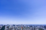 東京タワーと東京都市全景　東京オリンピック競技会場が集中する湾岸エリアまで望む　快晴　青空　新緑