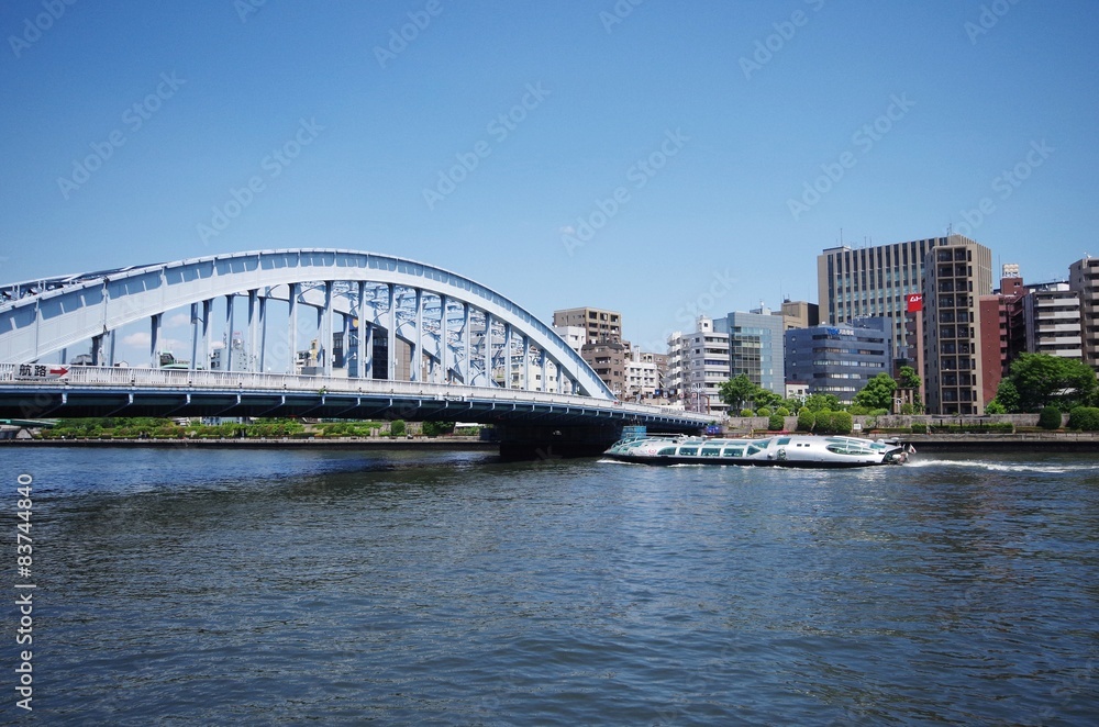 Naklejka premium 川と遊覧船