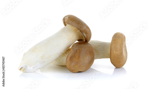 King Oyster mushroom isolated on the white background