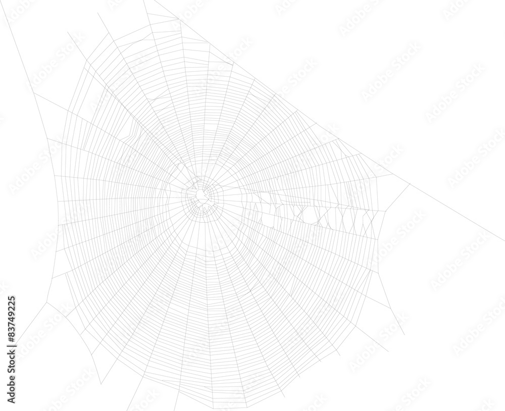 black isolated large spider web illustration