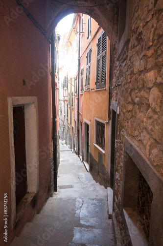 Fototapeta Naklejka Na Ścianę i Meble -  vicolo a Tellaro (Lerici)