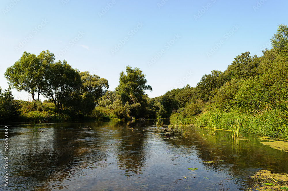 Tranquil river flowing through the forest Tranquil river flowing through the forest